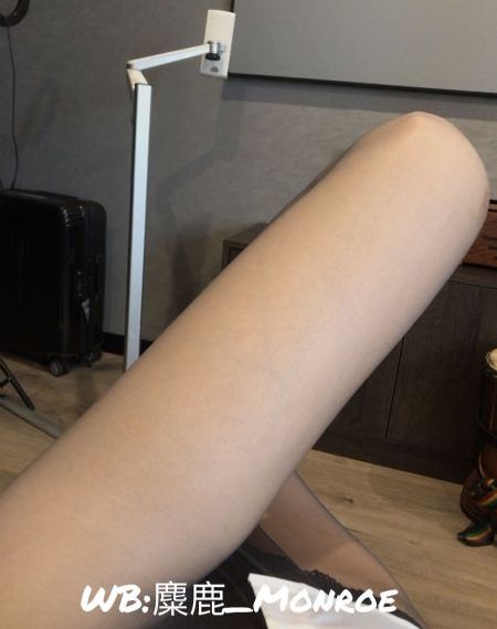 动物感伤的清晨完整版在线观看_DVD手机免费观看完整